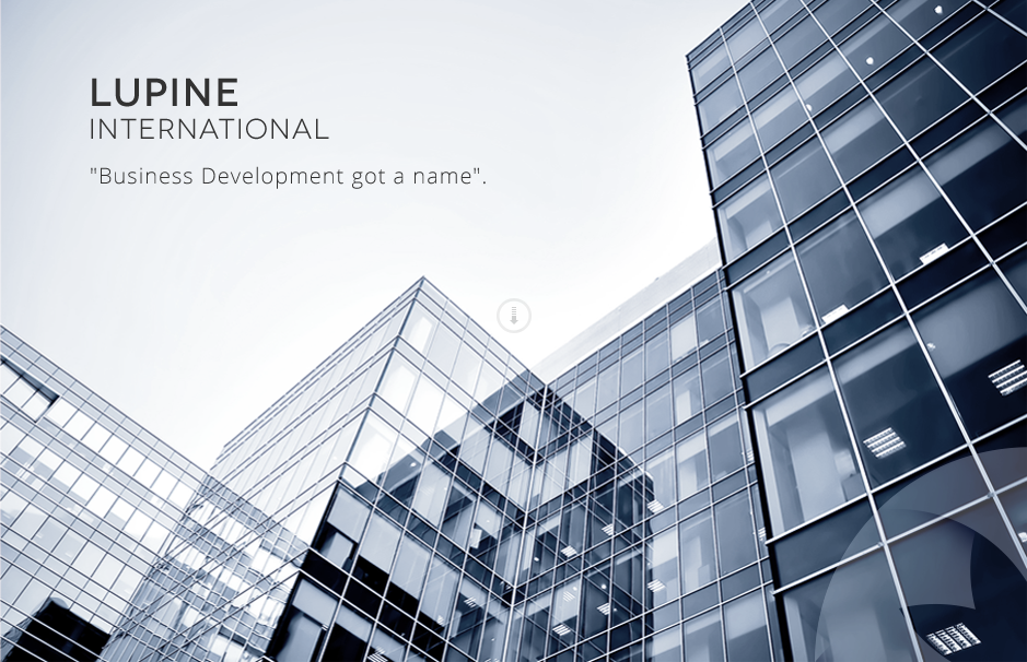 Lupine International - Business Development got a name